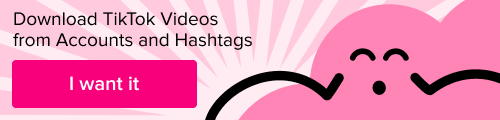 TikTok Video Downloader TikTok Video Downloader